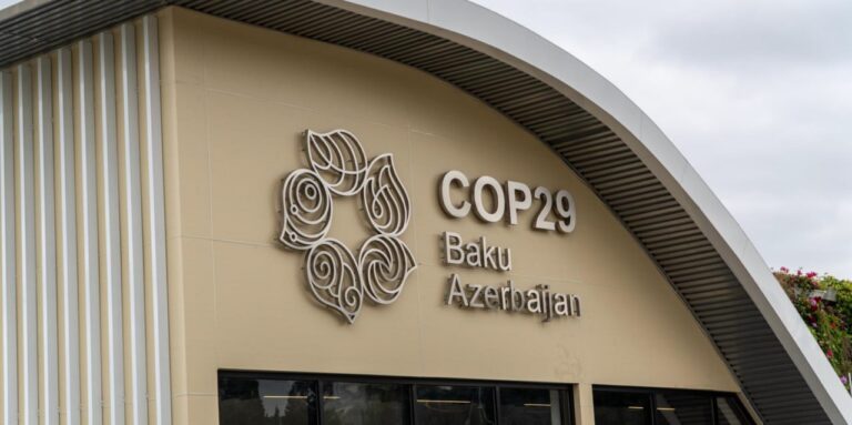 Africa faces urgent climate finance needs ahead of COP29