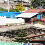 InPicture No Roof