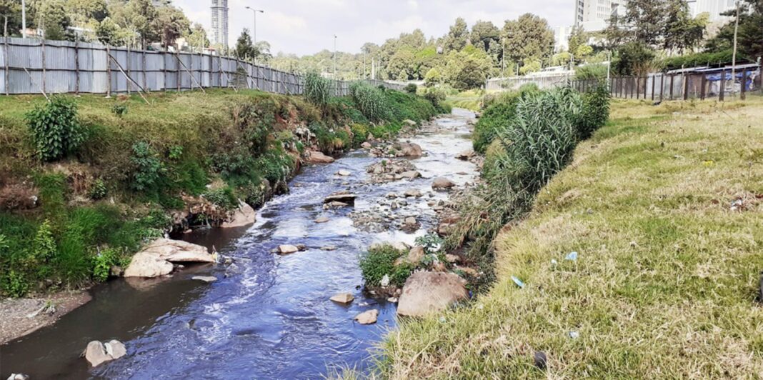 Ethiopia moves to protect water bodies with new legislation