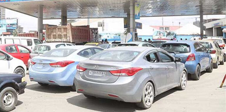 Fuel subsidies drive price stabilization fund debt to 133 billion birr