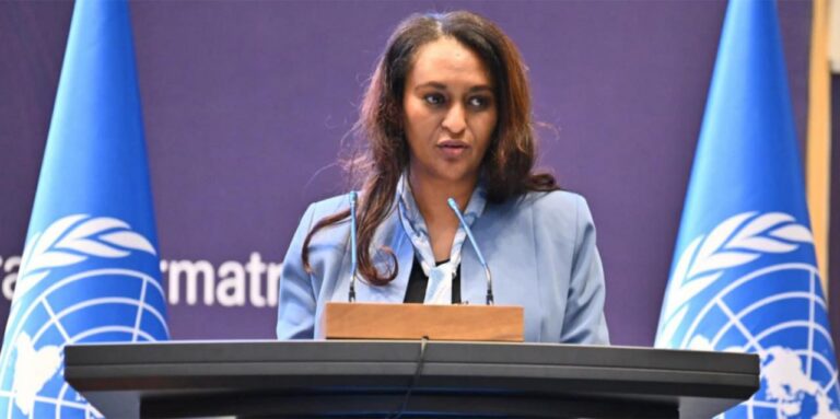 Experts convene to review Africa’s economic development and regional integration