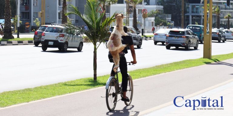 Express delivery