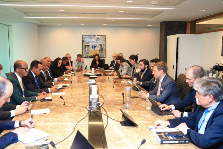 Finance Minister engages private bondholders in Ethiopia’s Debt Restructuring Talks