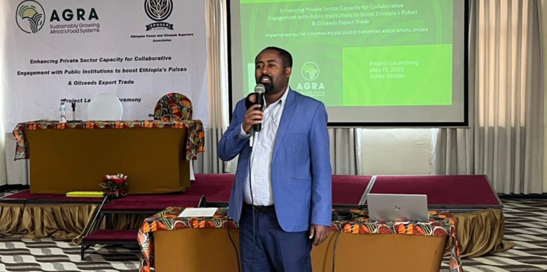 EPOSEA launches $312,000 AGRA-backed project to boost pulses and oilseed exports