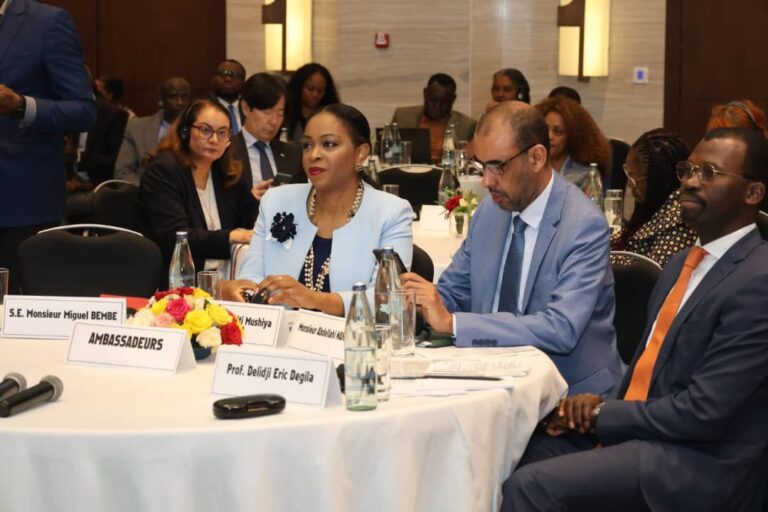 Regional seminar in Addis tackles multilingualism and multilateralism in international organizations