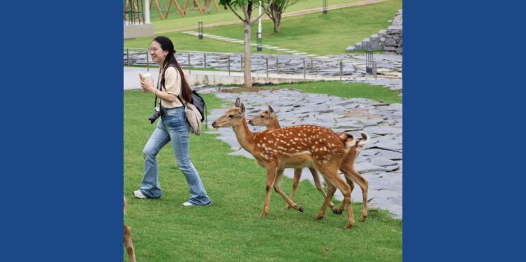 deer encounters!