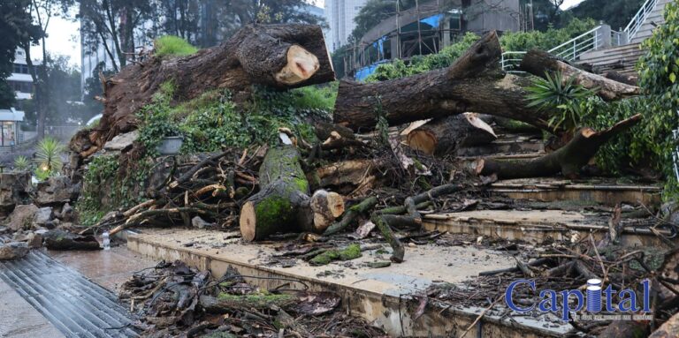 Fallen giants