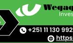 wegagen capital