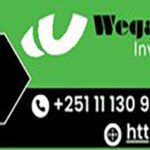 wegagen capital updated