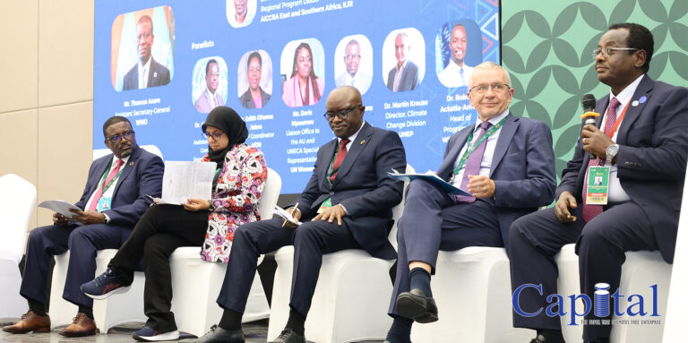 Addis Ababa Declaration: A Paradigm Shift Forged in the Crucible of Summit Debates