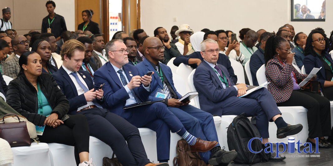 African leaders advocate for a green economic revolution, climate-friendly trade