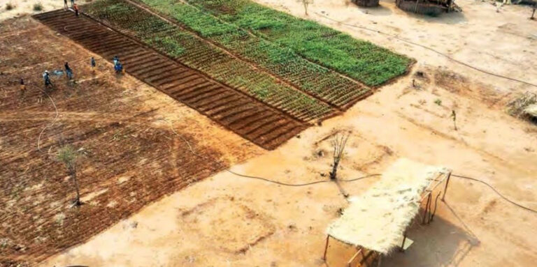 Ethiopia faces historic drought and climate crisis