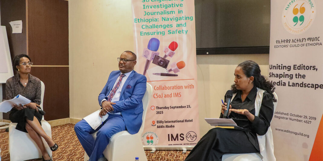 Workshop highlights urgent need for support in investigative journalism