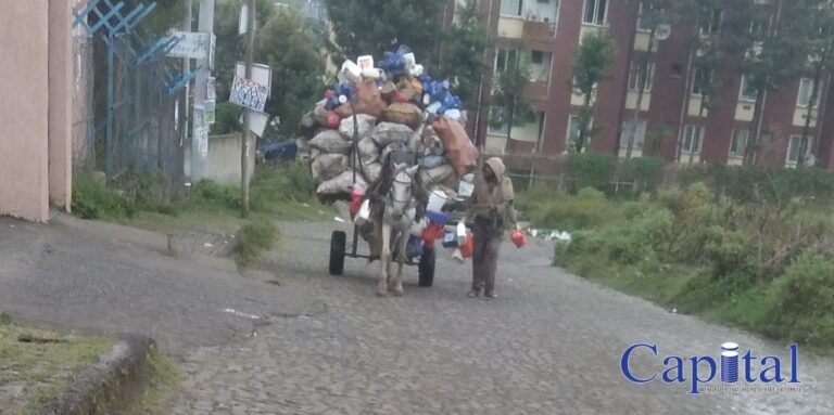 Trash out