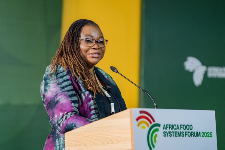 “Agricultural Financing Gap Threaten Food Security” Expert Warn