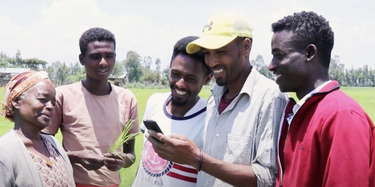 Access to agricultural advisory services plummets, threatening climate resilience and transformation goals