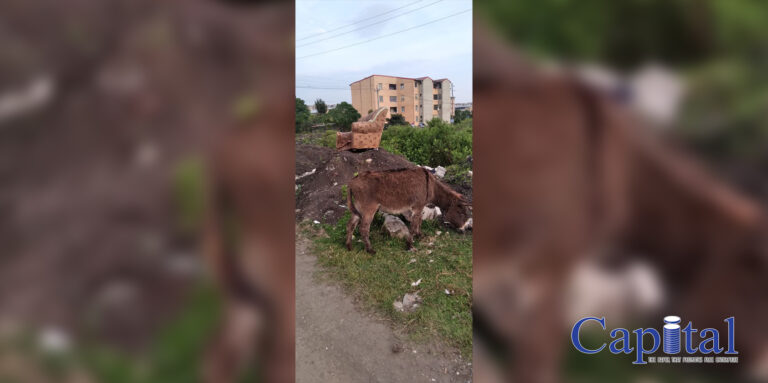 “POST-APOCALYPTIC CHIC” VIBES