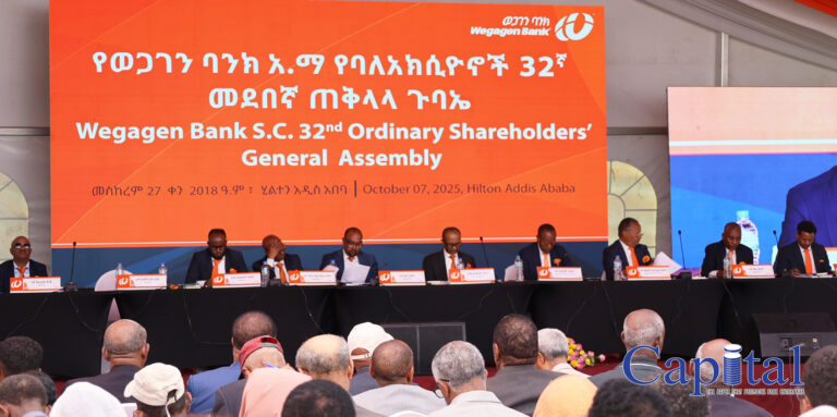Wegagen Bank expands loan portfolio to 53.5 Billion Birr while keeping NPLs low
