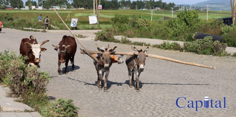 WHEN THE WHOLE SQUAD SHOWS UP