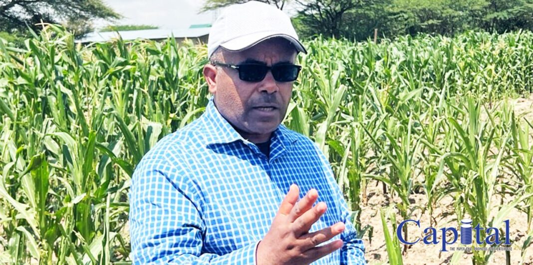 Field visit in Melkasa highlights approved BT Maize amid opposition boycott