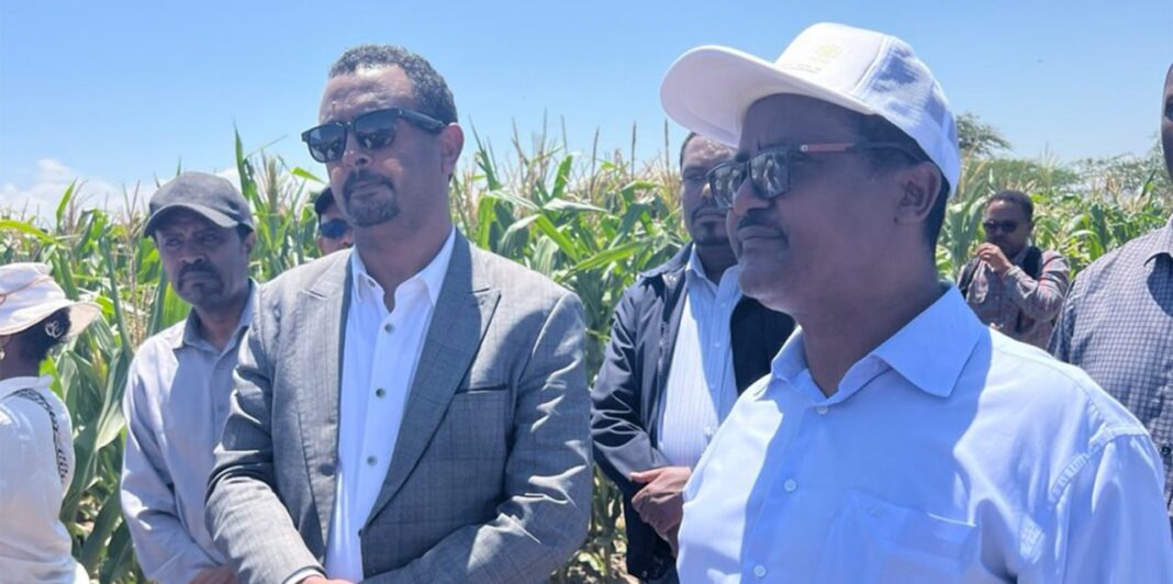 High-level delegation visits GM Maize farm, showcases agricultural innovations