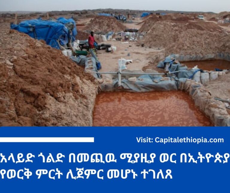 አላይድ ጎልድ በመጪዉ ሚያዚያ ወር በኢትዮጵያ የወርቅ ምርት ሊጀምር መሆኑ ተገለጸ
