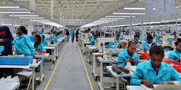 Industrial Parks train 350,000 workers, but only 20% remain amid low wages and market crisis