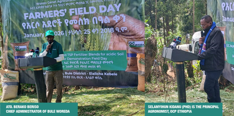 From Acid to Abundance: How OC‑MASSA is turning Ethiopia’s ‘Dead’ highlands into breadbaskets
