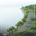 Qegn_Dr Mesay_Nolawi_Rollup Banner_Oct 8 2025 2 copy