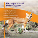 Qegn_Dr Mesay_Nolawi_Rollup Banner_Oct 8 2025 5