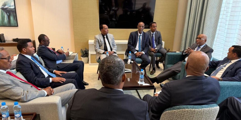 Ethiopia and Djibouti Seal Deal to Link Strategic Ports to Railway by 2026