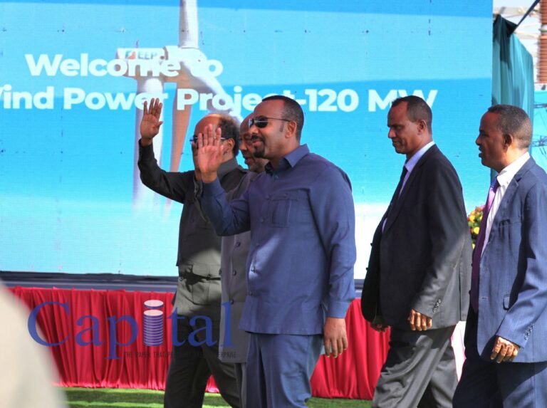 EEP funds key projects independently, completes Aysha II Wind Farm