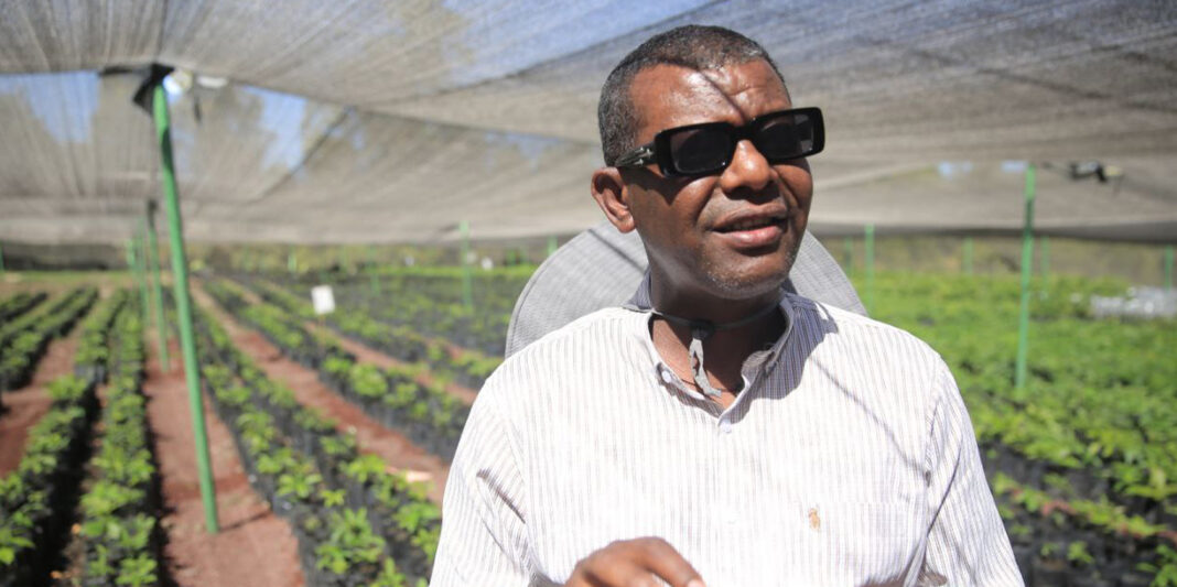 Farming as a Business, Not Survival