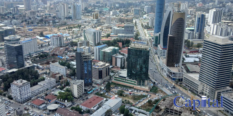 Addis’ public service crisis blamed on centralization, low wages