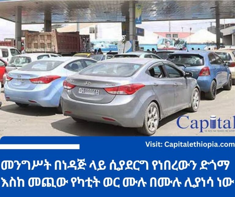 መንግሥት በነዳጅ ላይ ሲያደርግ የነበረውን ድጎማ እስከ መጪው የካቲት ወር ሙሉ በሙሉ ሊያነሳ ነው