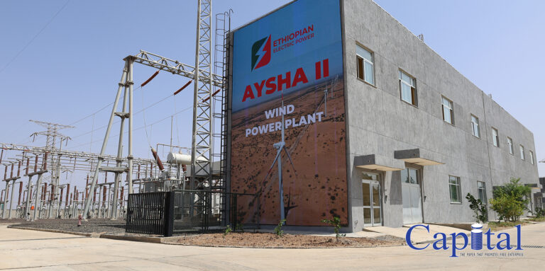 Aysha II Wind Farm to Add 40 MW as Second Phase Nears Completion