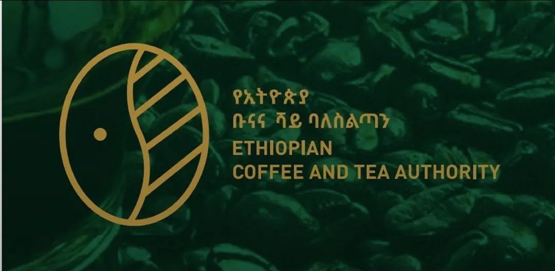 Ethiopian Coffee Authority Urges Swift Shipments Amid Global Price Decline