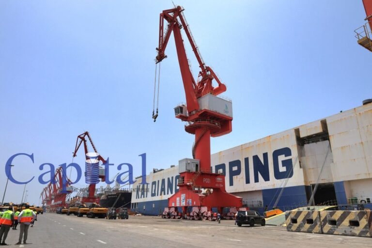 Djibouti’s largest port facility reports sufficient cargo handling capacity