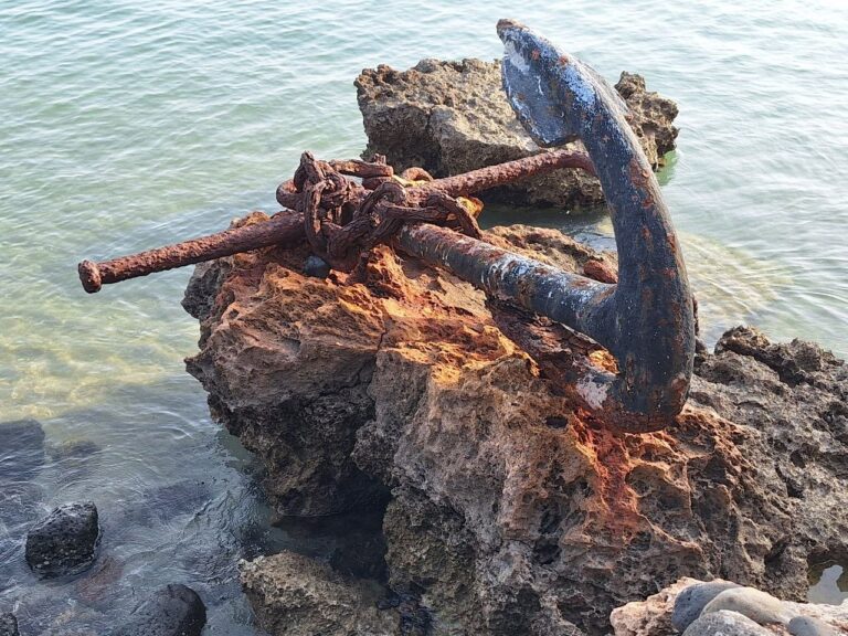 old relic chilling by the shore