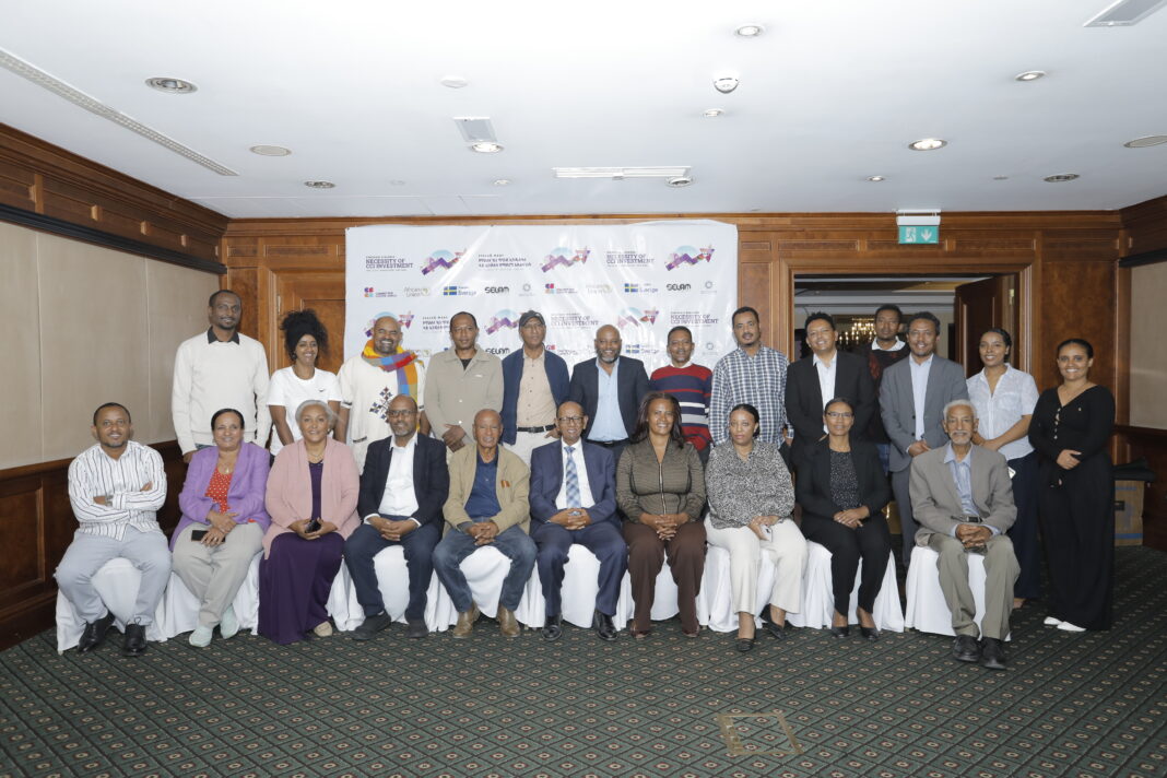 Exclusion from Investment Code Identified as Main Obstacle to Ethiopia’s Creative Industry