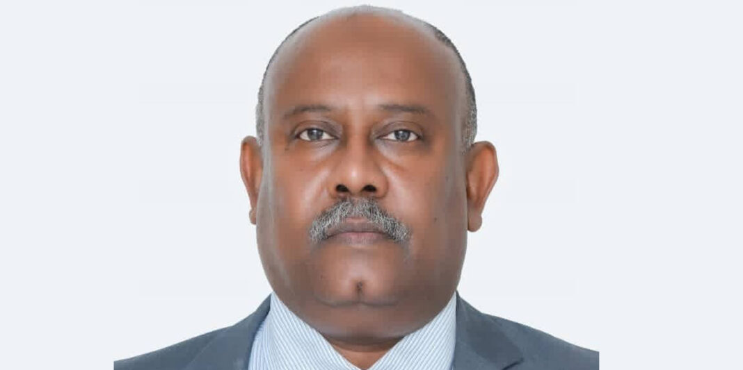 NBE gives green light to Sudanese expert as Amana Insurance President
