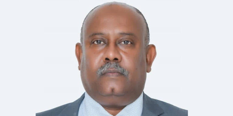 NBE gives green light to Sudanese expert as Amana Insurance President