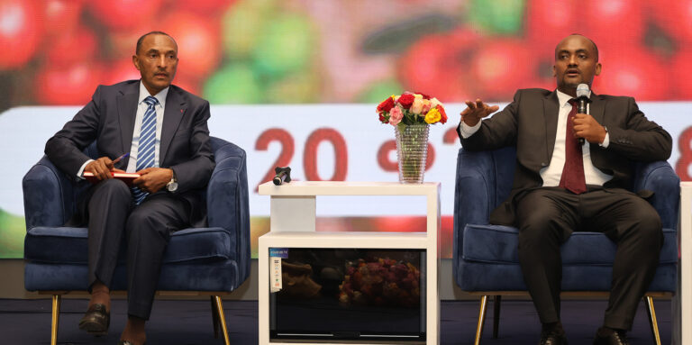 Ethiopia plans major agricultural finance overhaul to spur rural growth