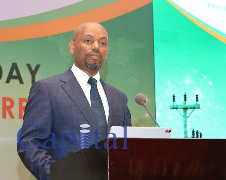EEU unveils USD 30.6 billion power distribution master plan