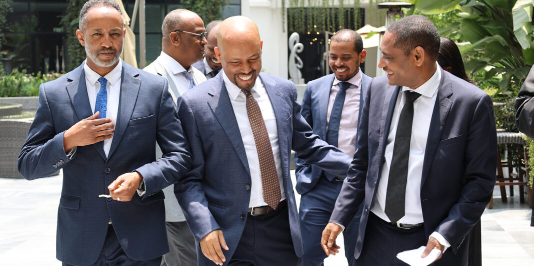 EEU targets smart grid transformation to deliver reliable power supply in Addis