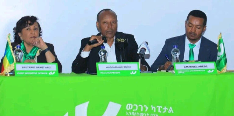 Wegagen Capital earns 6.85m birr from 2.69bn birr in securities trades 