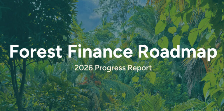 African governments lead new push to finance forest protection