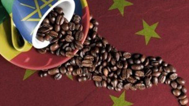 Coffee exporters turn to China as EU deforestation rules loom