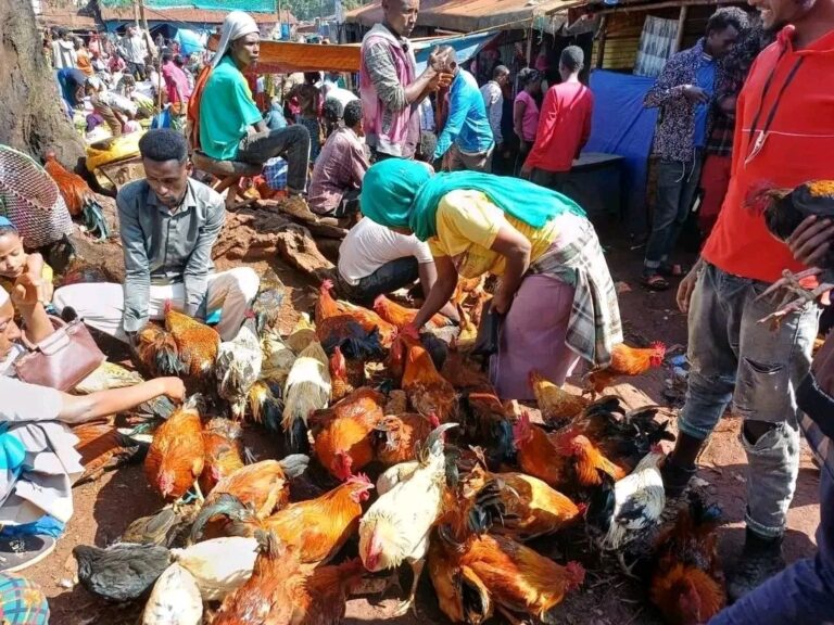 የ2019 አዲስ ዓመት ገበያ ቅኝት፡ ከፍተኛ ጭማሪ ታይቶበታል