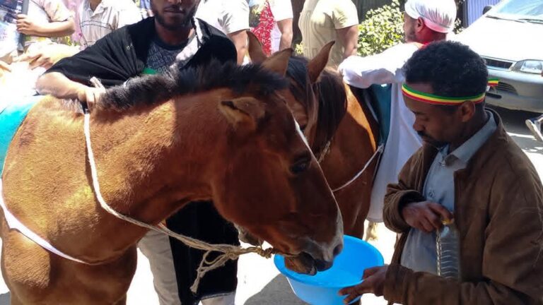 Thirsty Pony
